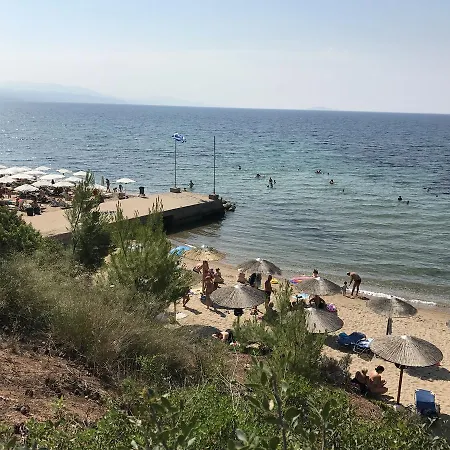 Vozina * Metamorfosi (Sithonia)