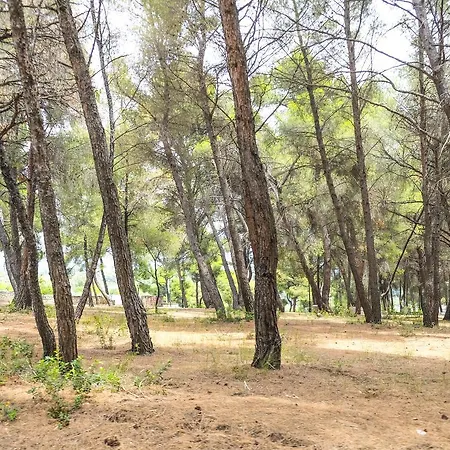 Vozina * Metamorfosi (Sithonia)