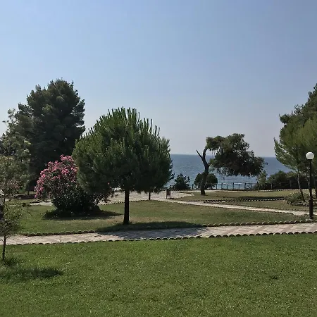 Vozina * Metamorfosi (Sithonia)