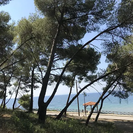Vozina * Metamorfosi (Sithonia)
